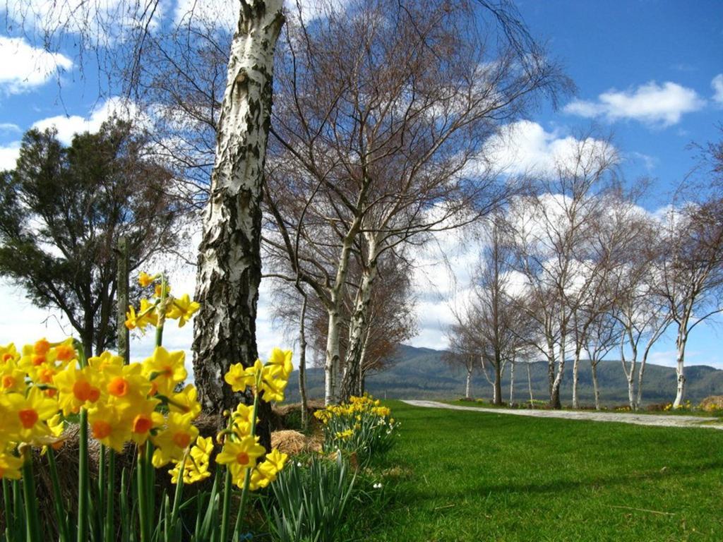 Plovers Ridge Country Retreat Villa Lilydale Cameră foto